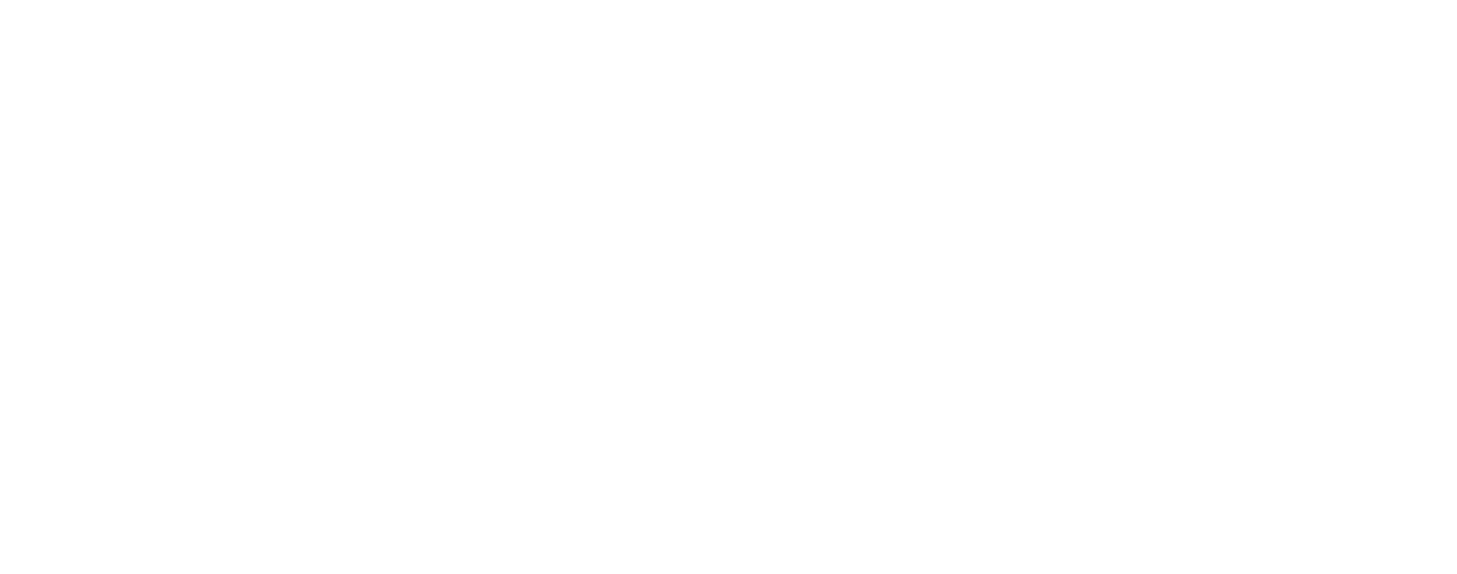 Lappin180 Logo in White